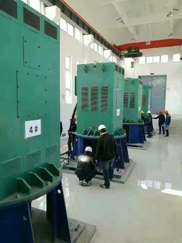 Y8007-12某污水处理厂使用我厂的立式高压电机安装现场