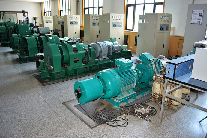 Y8007-12某热电厂使用我厂的YKK高压电机提供动力